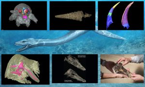 Digital and physical 3D models of a museum object from the Pitt Rivers Museum that visitors will be able to explore at a kiosk inside the gallery