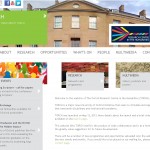 Screenshot of the Torch website